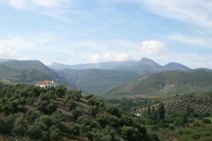 In the valley of Andalucia 2 5742748-8561419