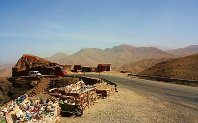 Geldwolven en angstige honden