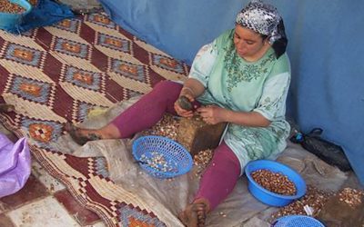 Marokkanen zien ondernemers graag komen