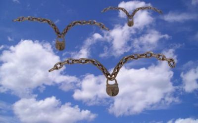 De nieuwe vrijheidsliefhebbers