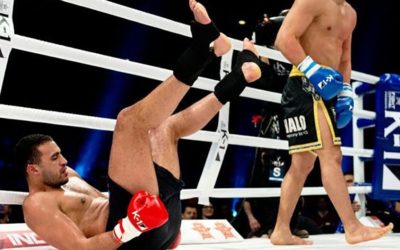 Badr Hari knock-out