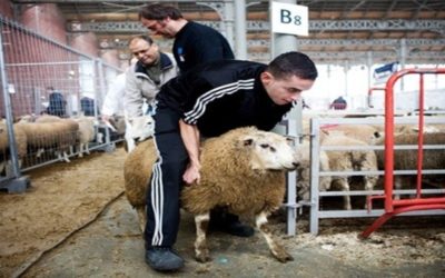 Zeg niet zomaar ‘slachtfeest’: het Offerfeest in vijf vragen