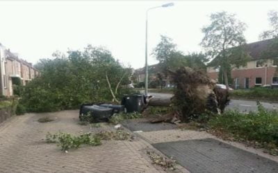 Doden door gevallen bomen in Amsterdam