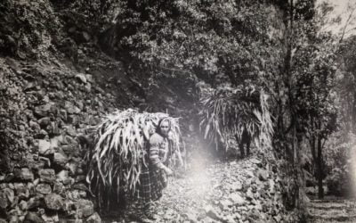 Grootsheid van piepklein Amazigh dorp in meesterlijk fotoboek
