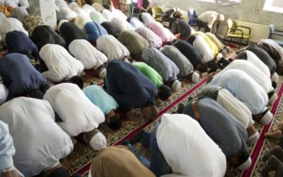 “Helft Belgische moslims is fundamentalist”