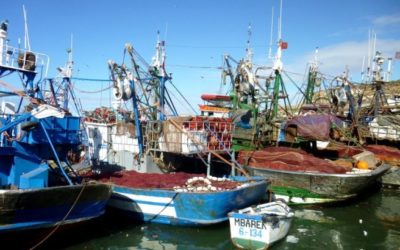 Zonder vissershaven is Al Hoceima overgeleverd aan seizoensarbeid