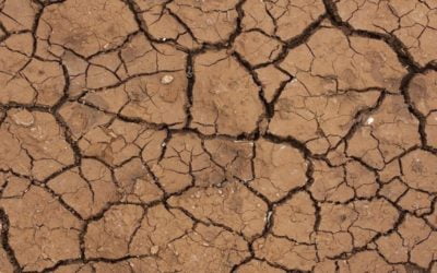NOORD-AFRIKA 2 Waterschaarste: Marokko op de zwarte lijst